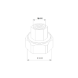 1 1/4" BSP Pump Union Set
