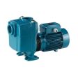 Calpeda A 50-125CE Self-Priming Centrifugal Pump (3PH)
