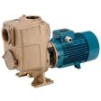 Calpeda B-A 50-125B/A Self-Priming Pump (3 Phase)
