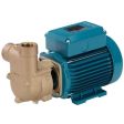 Calpeda B-CAM 90/A Self Priming Pump (1 Phase)