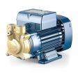 Pedrollo PVm 65 Peripheral Pump (1 Phase)