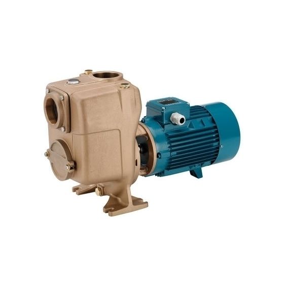 Calpeda B-A 40-110B/A Self-Priming Pump (3 Phase)