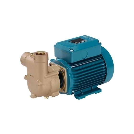 Calpeda B-CAM 91/A Self Priming Pump (1 Phase)
