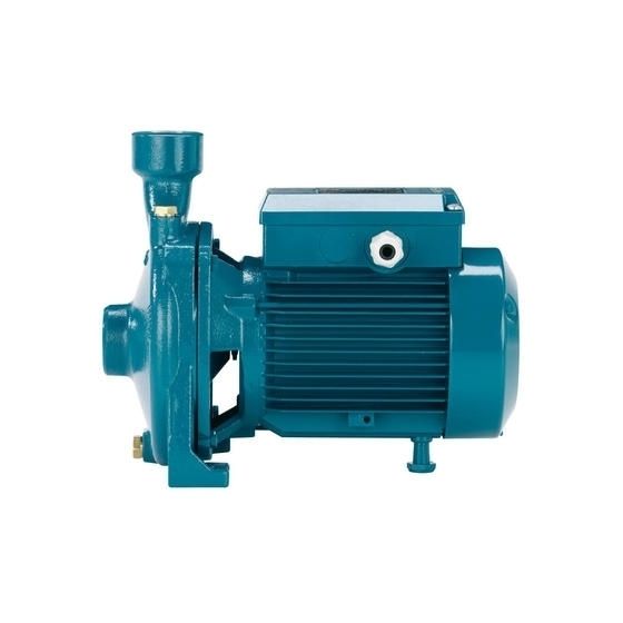 Calpeda NMM 25/12B/A Threaded End Suction Pump - 1 Phase