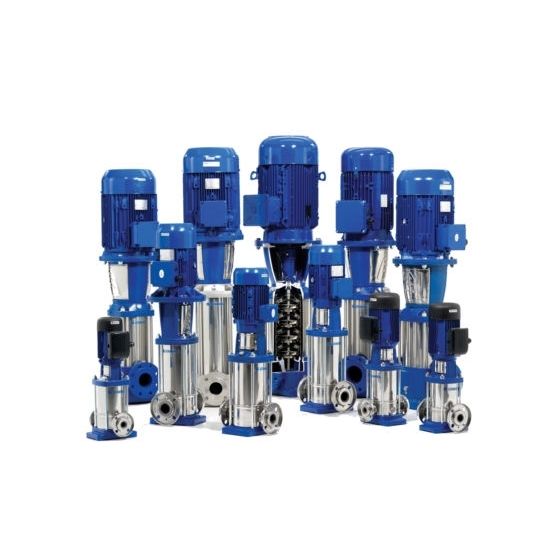 Lowara e-SV 22SV10T110T/D Vertical Multistage Pump